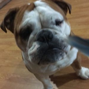 Meet your Posher, Josue